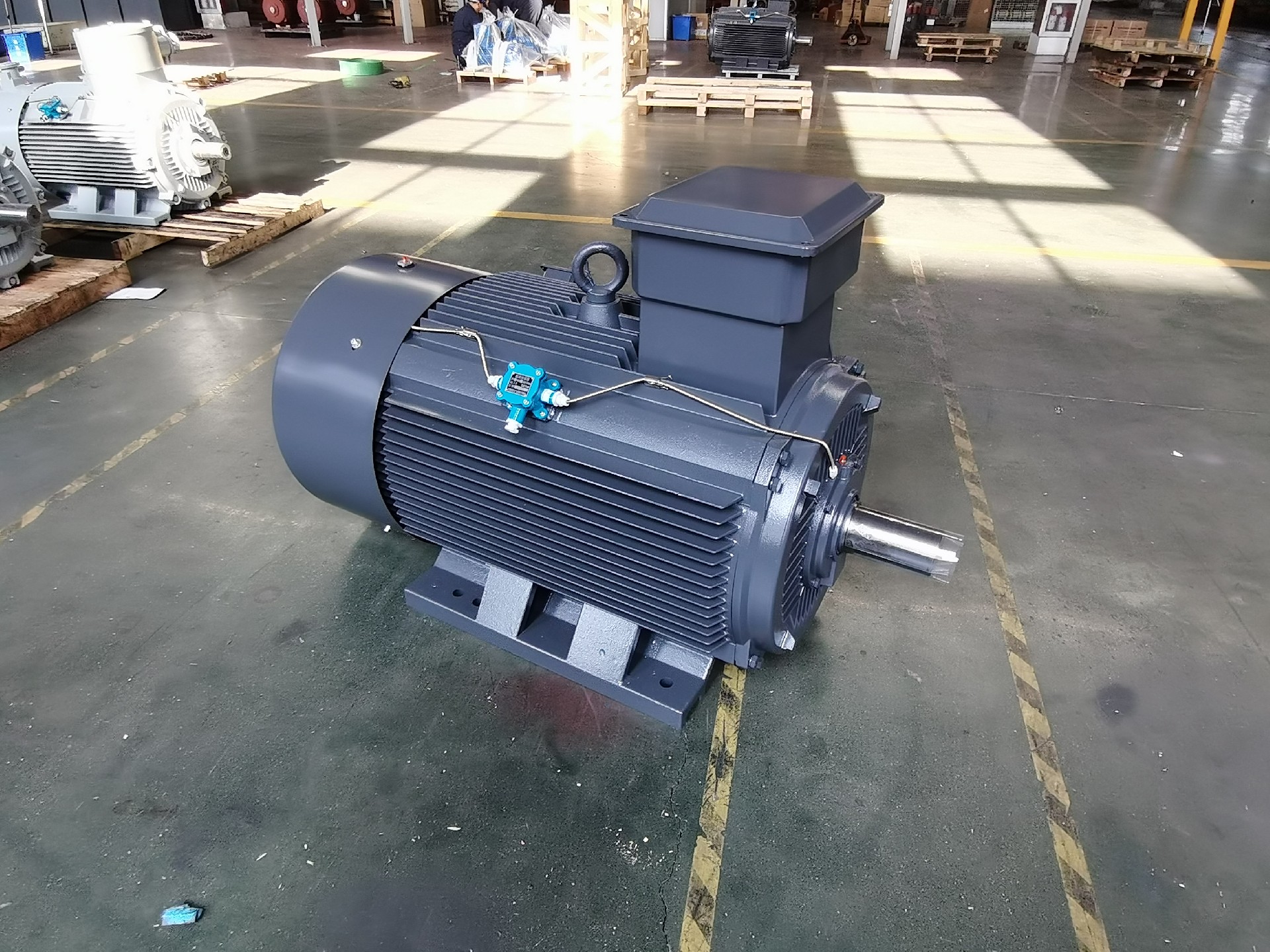 上海上力防爆电机