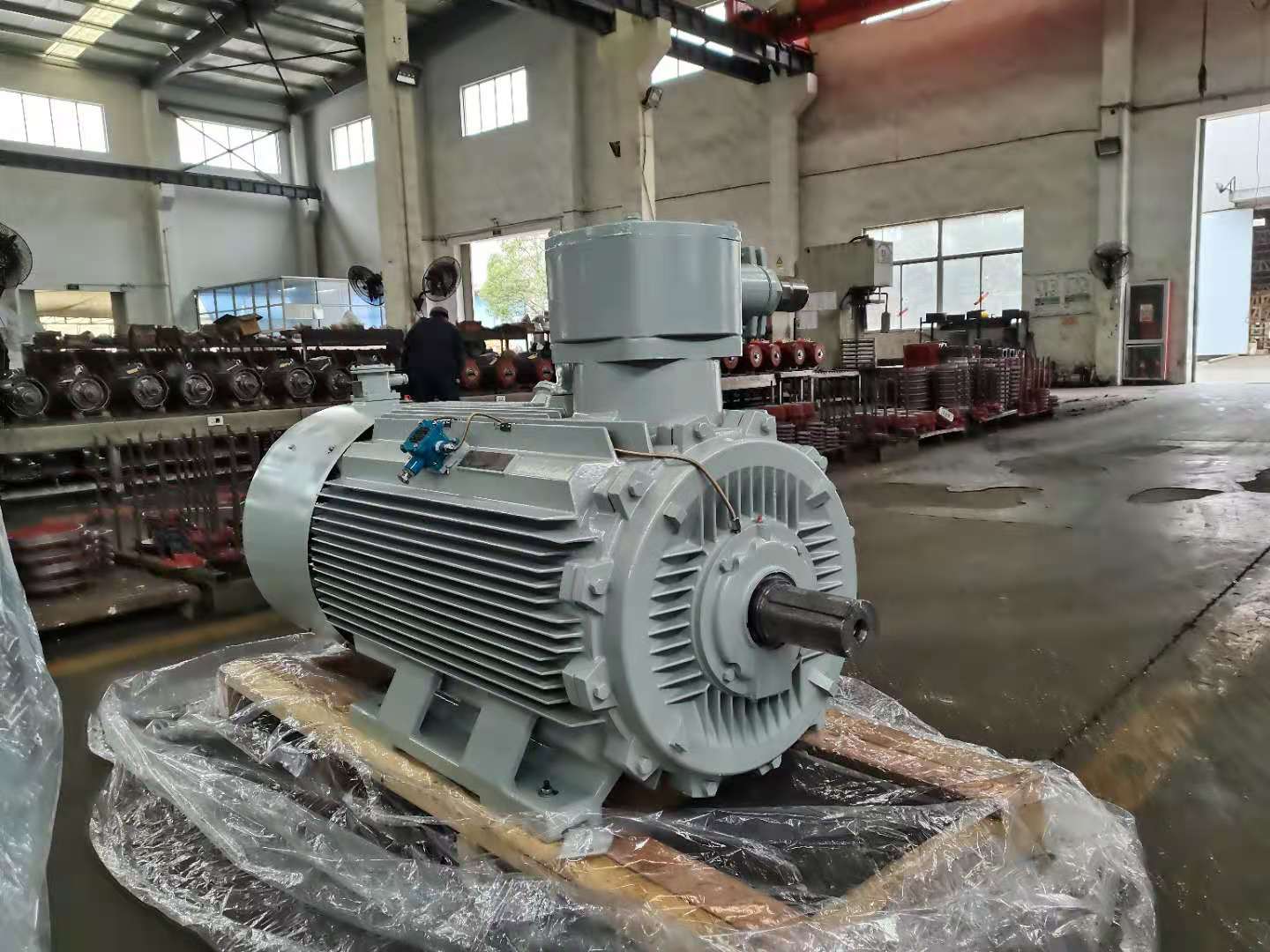 上海上力防爆电动机